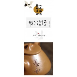 Arena púrpura de tetera(zi ye shi piao)